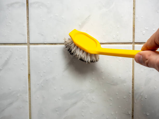 Best Mold Removal Near Me  in St Jaco, IL