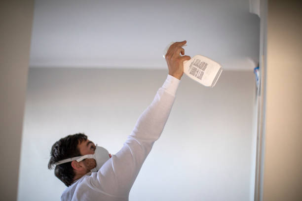 Mold Removal Process in St Jaco, IL