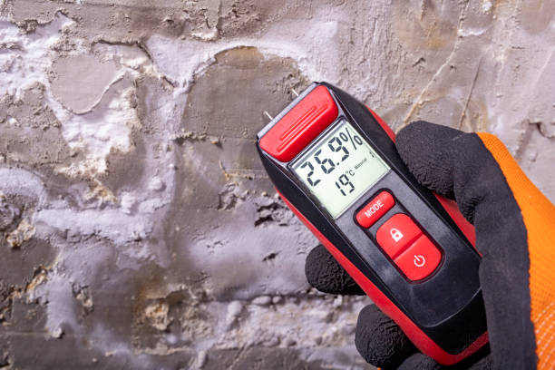 Best Water Damage Restoration  in St Jaco, IL