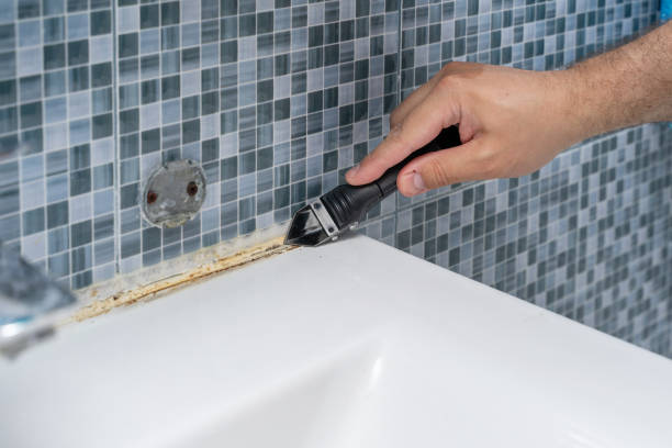 Best Mold Remediation  in St Jaco, IL