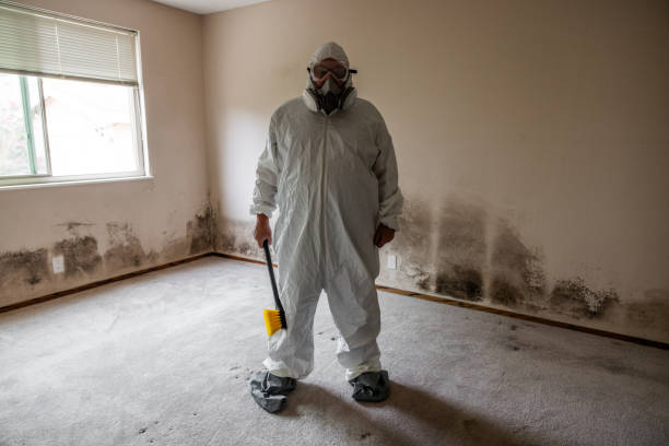 Best Residential Mold Removal  in St Jaco, IL